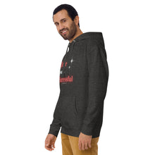 Load image into Gallery viewer, Queer and Successful - The Community Unisex Hoodie